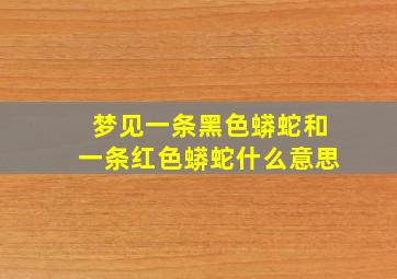 梦见一条黑色蟒蛇和一条红色蟒蛇什么意思