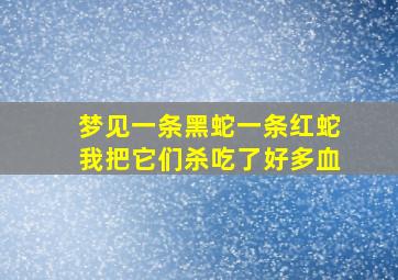 梦见一条黑蛇一条红蛇我把它们杀吃了好多血