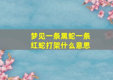 梦见一条黑蛇一条红蛇打架什么意思