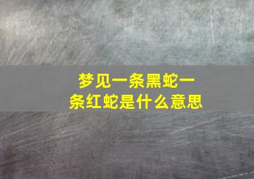 梦见一条黑蛇一条红蛇是什么意思