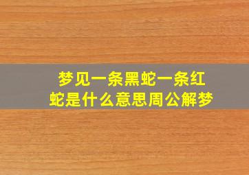 梦见一条黑蛇一条红蛇是什么意思周公解梦