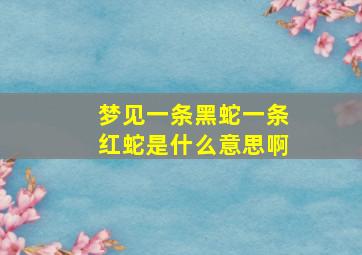 梦见一条黑蛇一条红蛇是什么意思啊