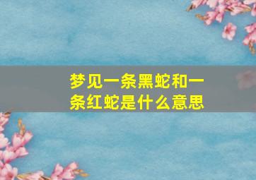 梦见一条黑蛇和一条红蛇是什么意思