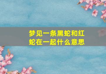 梦见一条黑蛇和红蛇在一起什么意思