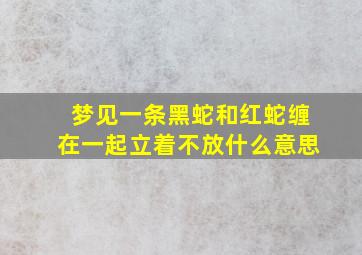 梦见一条黑蛇和红蛇缠在一起立着不放什么意思