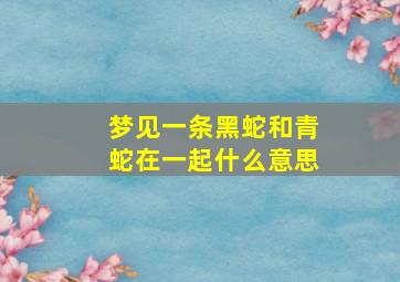 梦见一条黑蛇和青蛇在一起什么意思