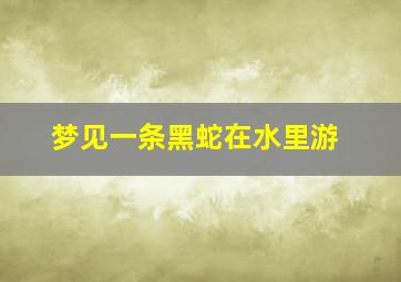 梦见一条黑蛇在水里游