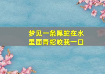 梦见一条黑蛇在水里面青蛇咬我一口