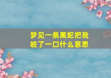 梦见一条黑蛇把我咬了一口什么意思