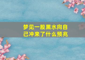 梦见一股黑水向自己冲来了什么预兆