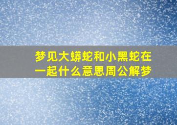 梦见大蟒蛇和小黑蛇在一起什么意思周公解梦