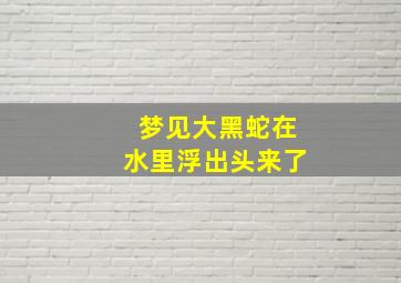 梦见大黑蛇在水里浮出头来了