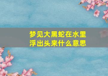 梦见大黑蛇在水里浮出头来什么意思