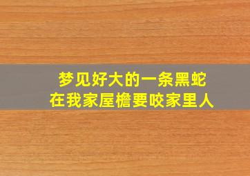 梦见好大的一条黑蛇在我家屋檐要咬家里人