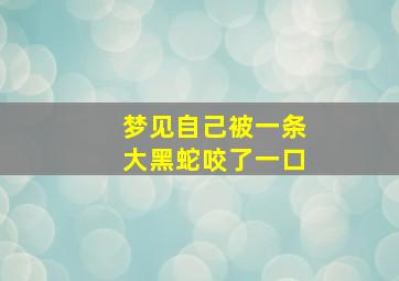 梦见自己被一条大黑蛇咬了一口