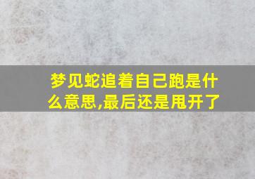 梦见蛇追着自己跑是什么意思,最后还是甩开了