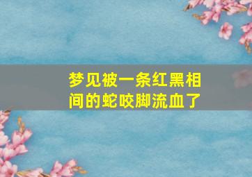 梦见被一条红黑相间的蛇咬脚流血了