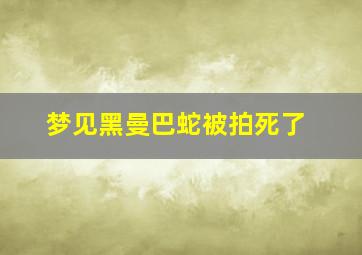 梦见黑曼巴蛇被拍死了