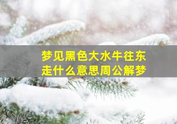 梦见黑色大水牛往东走什么意思周公解梦