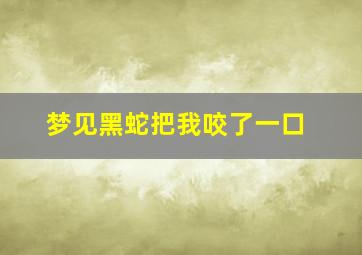 梦见黑蛇把我咬了一口