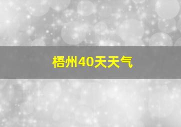 梧州40天天气