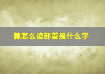 棘怎么读部首是什么字