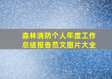 森林消防个人年度工作总结报告范文图片大全