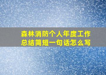 森林消防个人年度工作总结简短一句话怎么写