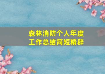 森林消防个人年度工作总结简短精辟