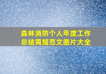 森林消防个人年度工作总结简短范文图片大全