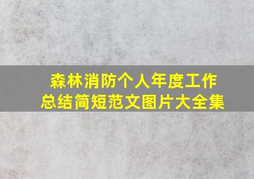 森林消防个人年度工作总结简短范文图片大全集