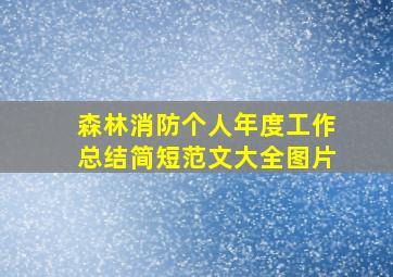 森林消防个人年度工作总结简短范文大全图片