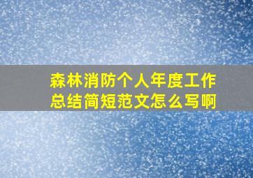 森林消防个人年度工作总结简短范文怎么写啊