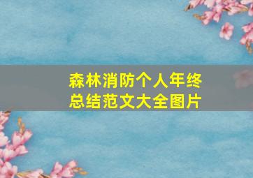 森林消防个人年终总结范文大全图片