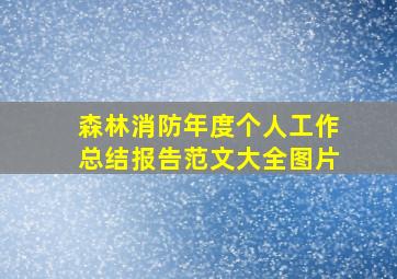 森林消防年度个人工作总结报告范文大全图片