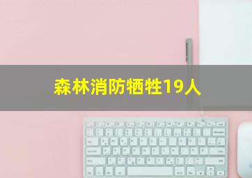 森林消防牺牲19人