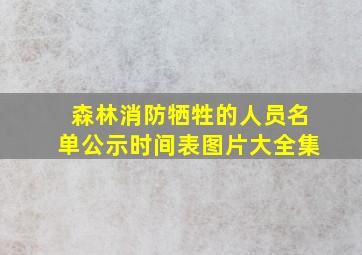 森林消防牺牲的人员名单公示时间表图片大全集