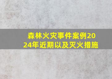 森林火灾事件案例2024年近期以及灭火措施