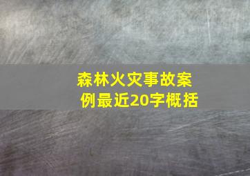 森林火灾事故案例最近20字概括