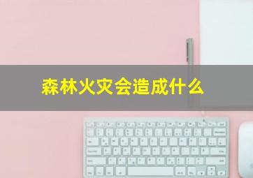 森林火灾会造成什么