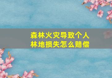 森林火灾导致个人林地损失怎么赔偿