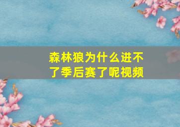 森林狼为什么进不了季后赛了呢视频