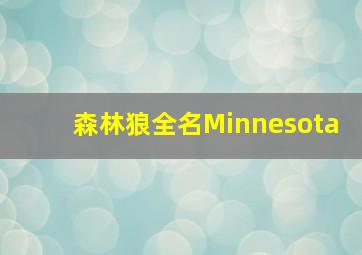 森林狼全名Minnesota