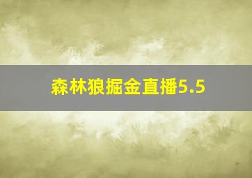 森林狼掘金直播5.5