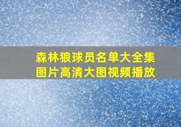 森林狼球员名单大全集图片高清大图视频播放