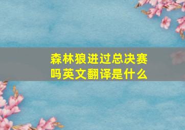 森林狼进过总决赛吗英文翻译是什么