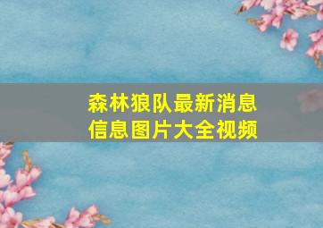 森林狼队最新消息信息图片大全视频