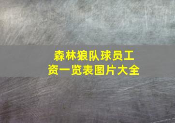 森林狼队球员工资一览表图片大全