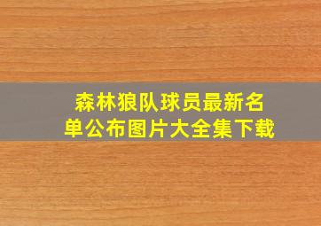 森林狼队球员最新名单公布图片大全集下载