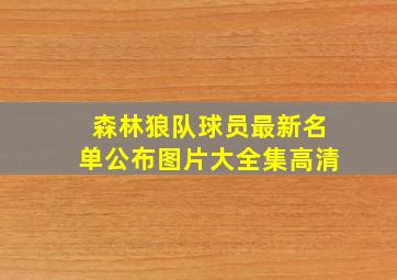 森林狼队球员最新名单公布图片大全集高清